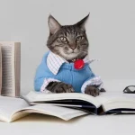 8 obiceiuri care, potrivit psihologilor, indică nivelul scăzut de inteligență al unei persoane 8-obiceiuri-care-potrivit-psihologilor-indica-nivelul-scazut-de-inteligenta.webp.webp