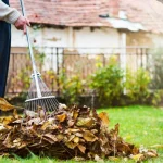 Încheierea sezonului de grădinărit: o listă completă a lucrurilor care trebuie tăiate în octombrie incheierea-sezonului-de-gradinarit-o-lista-completa-a-lucrurilor-care.webp.webp